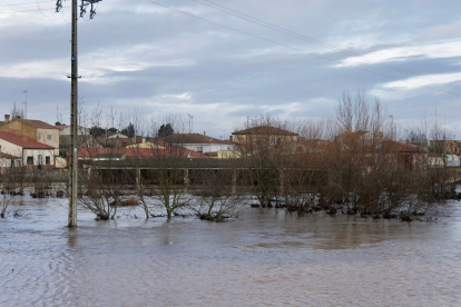 Las fuertes lluvias caídas en la provincia de Salamanca dejan inundaciones en pueblos y campos de cultivo.- ICAL