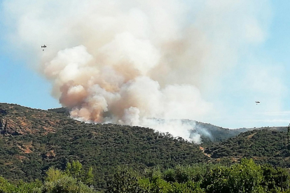 Incendio forestal en Saucelle (Salamanca)