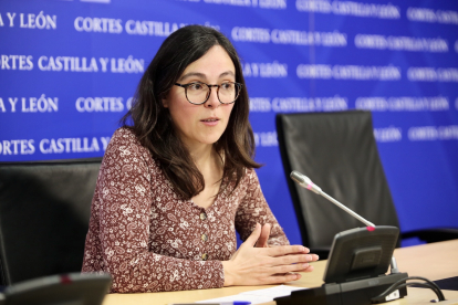 La procuradora de Podemos Castilla y León en las Cortes Laura Domínguez. - ARCHIVO ICAL