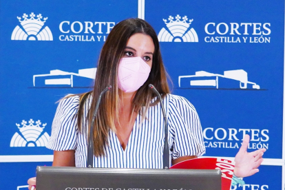 La coordinadora del área de Familia en el Grupo Parlamentario Socialista, Nuria Rubio. - ICAL