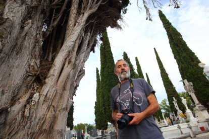 El fotógrafo cacabelense Samuel Núñez realiza un trabajo sobre la corteza de los árboles del Bierzo.- ICAL