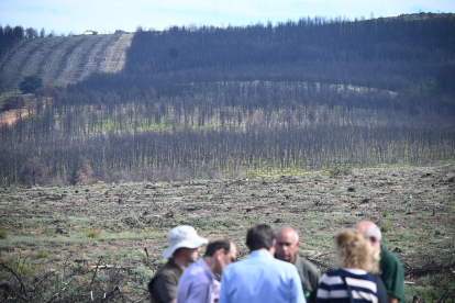 El consejero de Medio Ambiente, Vivienda y Ordenación del Territorio, Juan Carlos Suárez-Quiñones, presenta la concesión de ayudas a la restauración forestal por los incendios de 2022. -ICAL