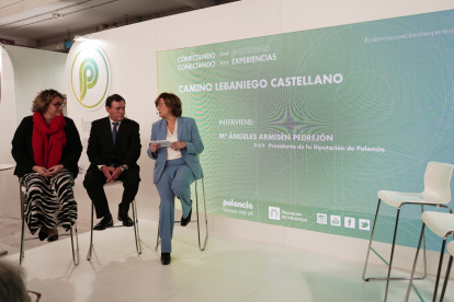 La presidenta de la Diputación de Palencia, Ángeles Armisén, presentas la oferta turística de la provincia palentina. ICAL