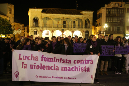 Acto en conmemoración del Día Internacional de Eliminación de la Violencia Contra la Mujer en Zamora.- ICAL