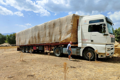 Paja de cereal enviada por la Consejería de Agricultura a las zonas afectadas por el incendio de Navalacruz . - ICAL