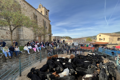 IX feria del Herradero Tradicional en San Martín de la Vega del Alberche. -Ricardo Muñoz-Martín