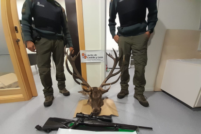 Agentes medioambientales localizan a dos cazadores furtivos que habían abatido un ciervo macho en el límite de Zamora y León. Ical