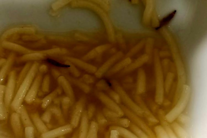 Imagen de los gusanos en una sopa servida en el Hospital de León. E.M.