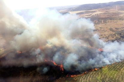 Incendio en Serradilla del Llano. - @NATURALEZACYL
