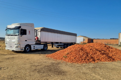 Envío a los ganaderos de Zamora de seis camiones de alimento