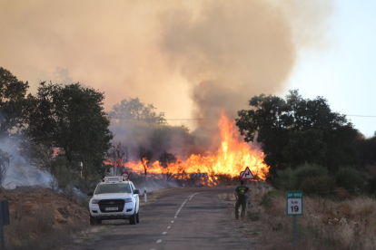 Incendio en Losacio de Alba.- ICAL