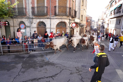 La villa de Cuéllar celebra el segundo encierro de sus fiestas en honor a la Virgen del Rosario, con toros de la ganadería de Partida de Resina.- ICAL
