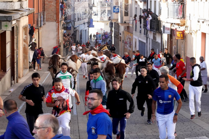 La villa de Cuéllar celebra el segundo encierro de sus fiestas en honor a la Virgen del Rosario, con toros de la ganadería de Partida de Resina.- ICAL