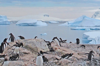 Panorámica de la Antártida, el continente más austral de la Tierra. REPORTAJE GRÁFICO: EL MUNDO