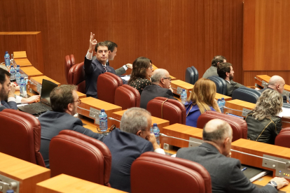 La bancada popular durante las votaciones de la segunda sesión del Pleno de los Presupuestos Generales de la Comunidad para 2023. - ICAL