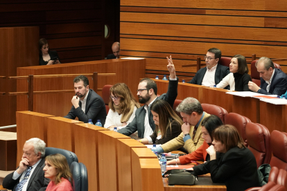 Bancada socialista durante la votación en la segunda sesión del Pleno de los Presupuestos Generales de la Comunidad para 2023. - ICAL