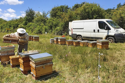 Adrián trabaja la finca situada en San Pedro de Latarce. Elaboran 5 tipos de miel cruda.  / LA POSADA