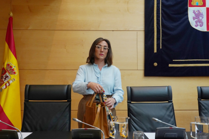 María González, Consejera de Movilidad y Transformación Digital.- ICAL