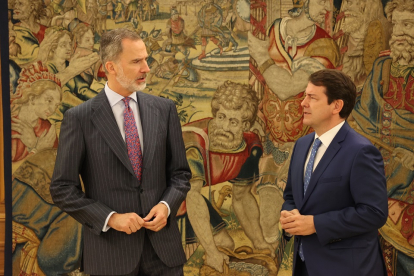 El rey Felipe VI recibe al presidente de la Junta de Castilla y León, Alfonso Fernández Mañueco. -ICAL