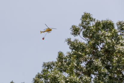 Un helicóptero durante una intervención esta semana en un incendio en la comunidad. / ICAL