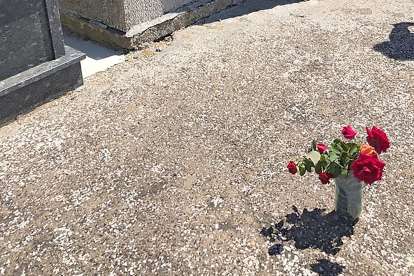 Flores en el área de excavación de la fosa en el cementerio de Villadangos. ARMH