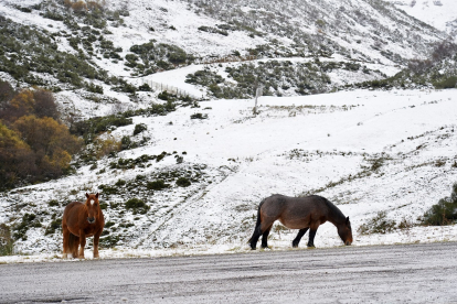 Nieve en la estación invernal y de montaña Valgrande-Pajares. -ICAL