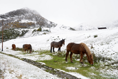 Nieve en la estación invernal y de montaña Valgrande-Pajares. -ICAL