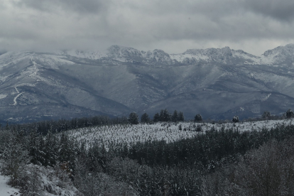 Temporal de nieve en el Bierzo.- ICAL