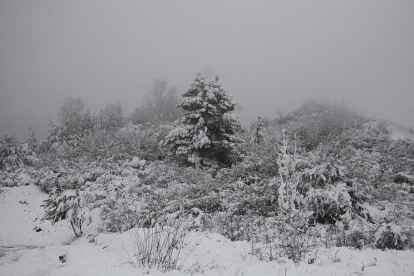 Temporal de nieve en el Bierzo.- ICAL