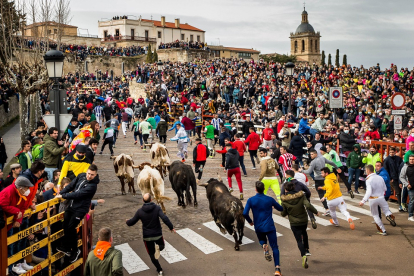 Carnaval del Toro en Ciudad Rodrigo(Salamanca).- ICAL