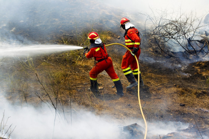 Dos efectivos de la Junta tratan se sofocar un incendio en Ávila. E. M.
