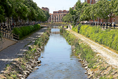Imagen de archivo del Paseo del Cauce de Valladolid. | Photogenic