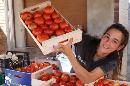 XXXIII Feria del Tomate de Mansilla de las Mulas en León. - ICAL