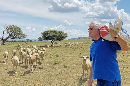 El pastor soriano con su rebaño comienza a vislumbrar su regreso a la provincia. -E.M.