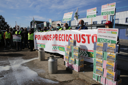 Protestas ante la planta de Lactalis en Zamora.- ICAL
