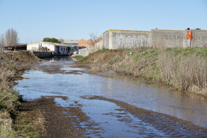 Inundaciones por la crecida del río Zapardiel en Medina del Campo (Valladolid)- Leticia Pérez/ Ical