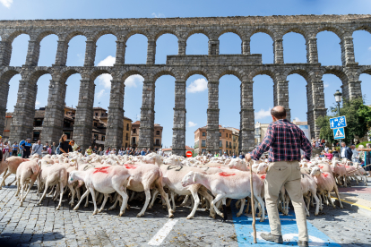 Intervención artística de la británica Kate Daudy y del Premio Nobel de Física Konstantin Novoselov bajo el Acueducto de Segovia con la participación de más de 400 ovejas. ICAL