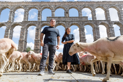Intervención artística de la británica Kate Daudy y del Premio Nobel de Física Konstantin Novoselov bajo el Acueducto de Segovia con la participación de más de 400 ovejas. ICAL