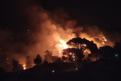 Incendio de Losacio-Tábara en Zamora. - E. M.