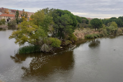 El río Duero a su paso por Zamora. - ICAL