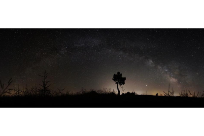 Panorámica de la Vía Láctea en la última noche de la primavera del 2020 sobre León; el punto brillante sobre el horizonte a la derecha del árbol son Júpiter y Saturno en conjunción.- ICAL