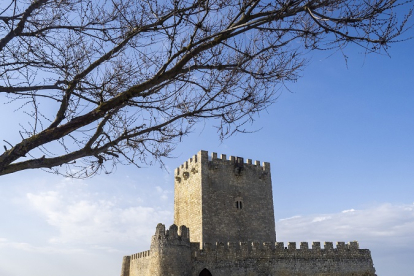 Foto de archivo del Castillo de Tiedra en Valladolid. - E.M.