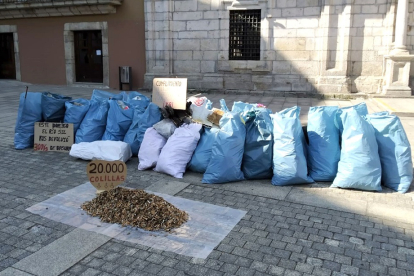 Proyecto Orbanajo deposita ante el Ayuntamiento de Ponferrada los más de 300 kilos de basura recogidos del entorno del río Sil. - ICAL