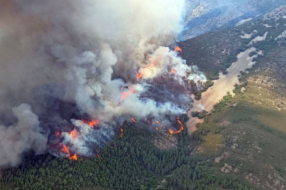 Incendio forestal en Cepeda, en la Sierra de Francia (Salamanca).- Ical