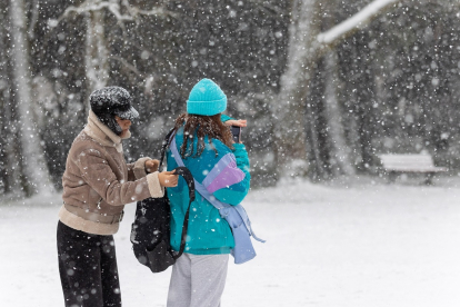 Nieve en la capital soriana. -ICAL