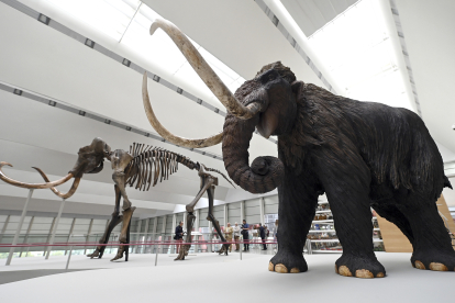 Presentación de la exposición temporal 'Un mamut en Burgos' por parte del consejero de Cultura, Turismo y Deporte, Gonzalo Santonja, y el director científico del MEH y comisario de la exposición, Juan Luis Arsuaga.-ICAL