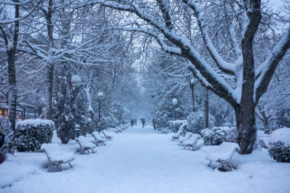 Nieve en Soria. -ICAL