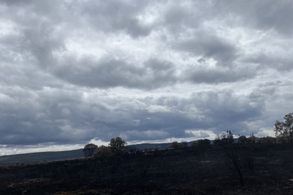 Parte del paisaje de la Sierra de la Culebra calcinado por el fuego.- A. Calvo