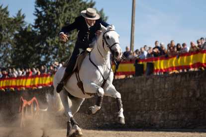 XIX Feria del Caballo de Ciudad Rodrigo (Salamanca) Ical