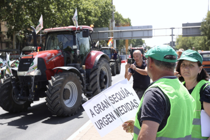Agricultores y ganaderos se desplazan en tractores hasta Madrid, para reclamar ayudas contra el sector primario por la sequía extrema.- ICAL
